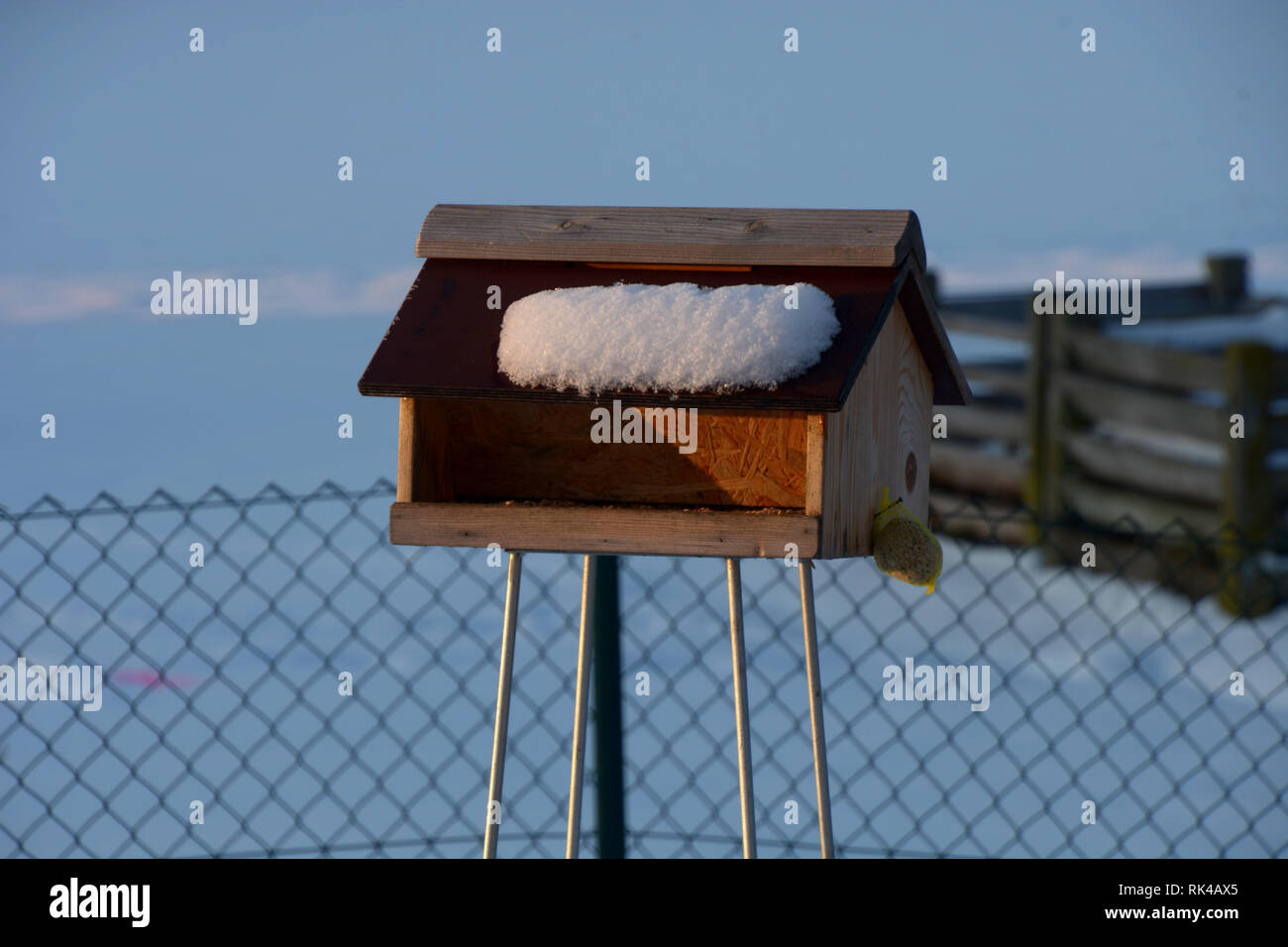 Vogelhaus für die Fütterung mit Schneeschmelze im späten Winter und
