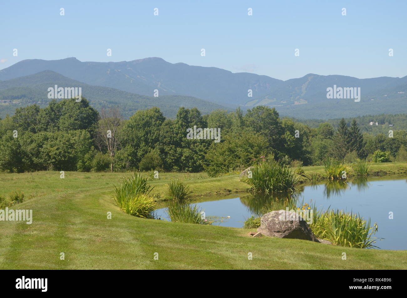 Hitze des Sommers durch einen Schwimmteich in den grünen Bergen, Vermont, USA Stockfoto