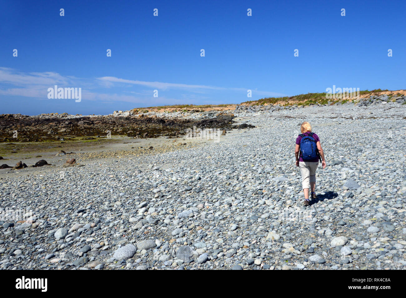 Eine Frau Wanderer zu Fuß auf einem Kieselstrand in Perelle Bay an der Küste Guernsey, Channel Islands.de. Stony Stockfoto