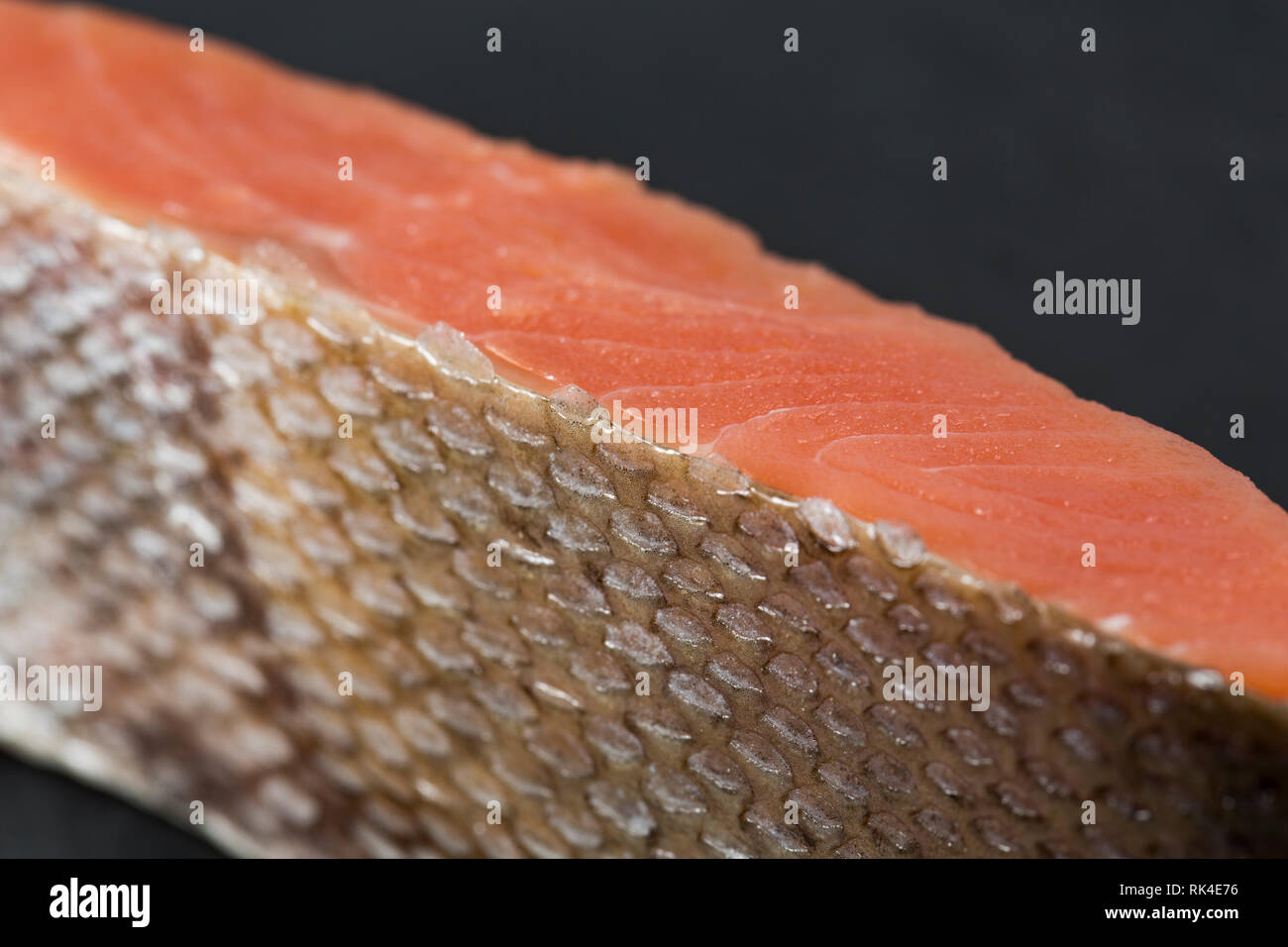 Eine einzelne, roh Keta Lachs filet, Oncorhynchus keta, gekauft von einem britischen Supermarkt und im nordöstlichen Pazifik gefangen, die Maßstab ein Stockfoto
