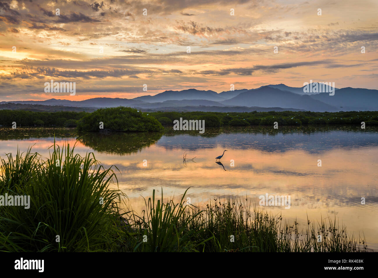 Sonnenaufgang an der Mündung in San Blas, Nayarit, Mexiko. Stockfoto