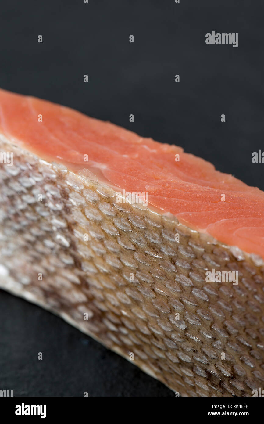 Eine einzelne, roh Keta Lachs filet, Oncorhynchus keta, gekauft von einem britischen Supermarkt und im nordöstlichen Pazifik gefangen, die Maßstab ein Stockfoto