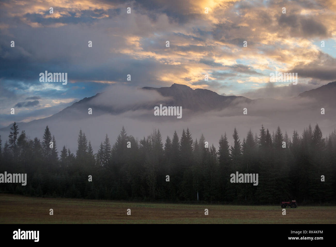 Golden, Kootenay Rockies, Britisch Kolumbien, Kanada Stockfoto