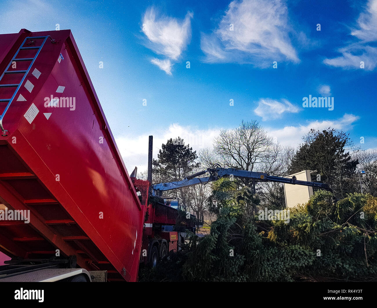 Ein großer roter Lkw und eine Maschine, die großen Bäume im Hinterhof Stockfoto