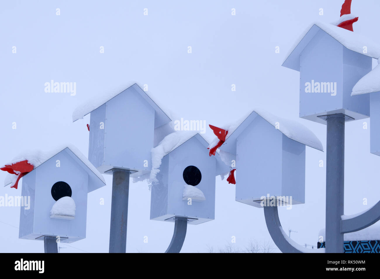 Bunte Vogelhäuschen aus Holz auf einem weißen Hintergrund. Das Leben in der Nachbarschaft. Brutzeit. Stockfoto