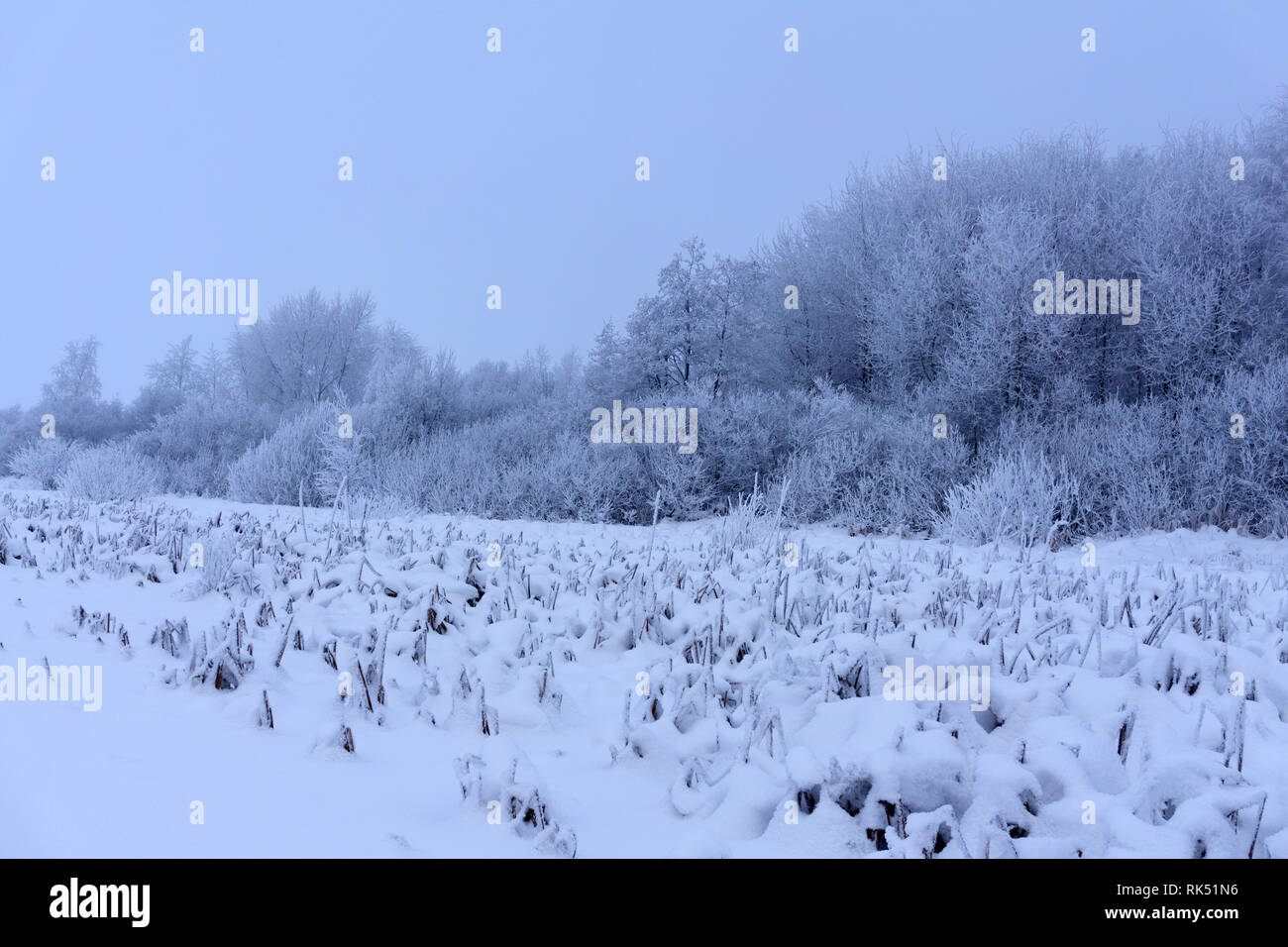Einen alten Holztisch auf einem Weihnachtsabend mit Weihnachtsschmuck. Stockfoto