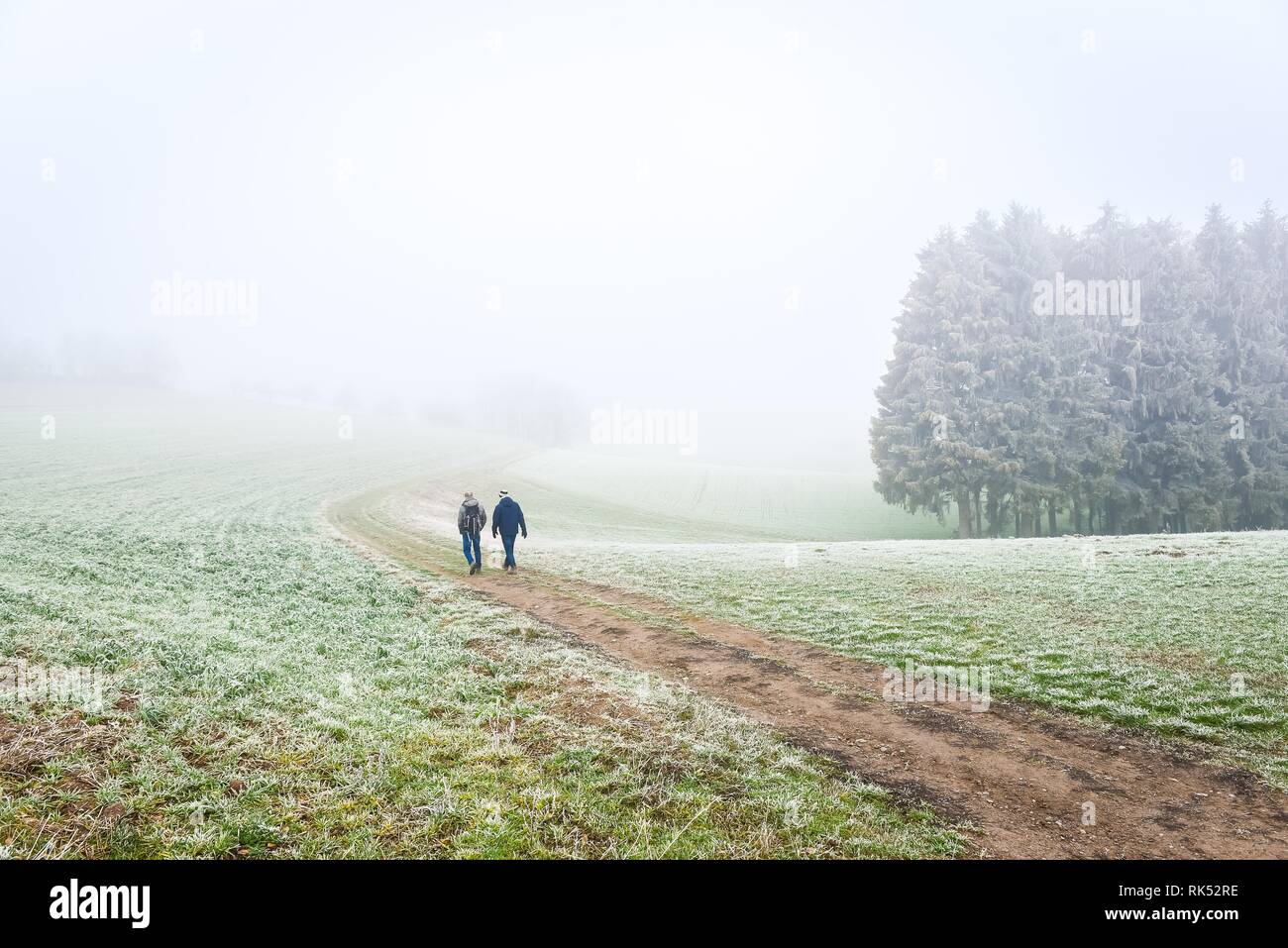 Zwei Wanderer auf ihrem Weg durch Nebel Landschaft, Odenwald, Deutschland, Europa Stockfoto