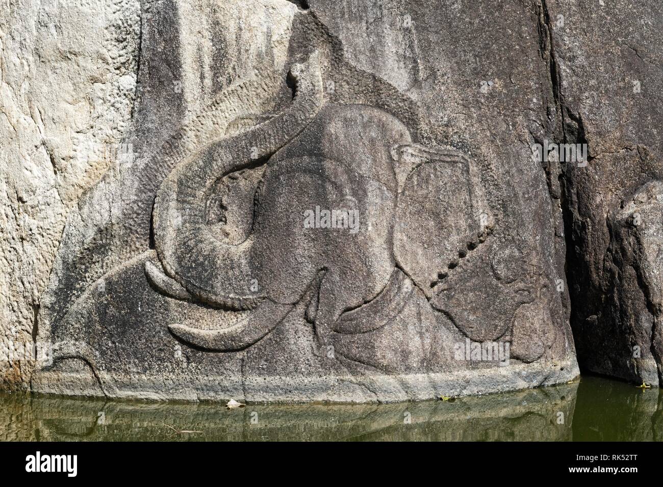 Relief Baden Elefant, Isurumuniya Tempels, Rathamalt, Anuradhapura, Sri Lanka, Asien Stockfoto