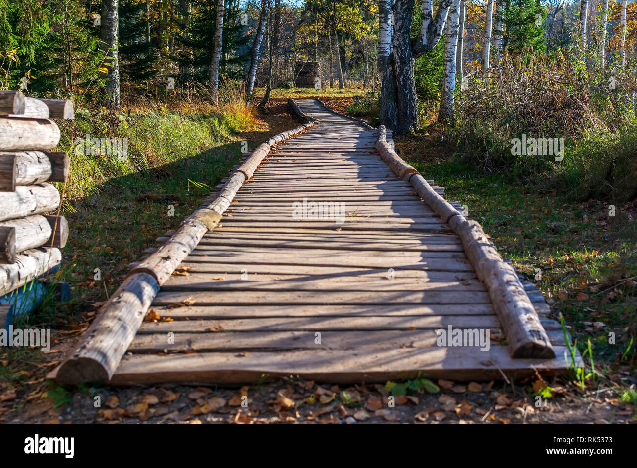 Schönen langen hölzernen Pfad Trail für Natur Trekking mit Wald um in der araisi Archäologische Museum Park, Lettland. Stockfoto