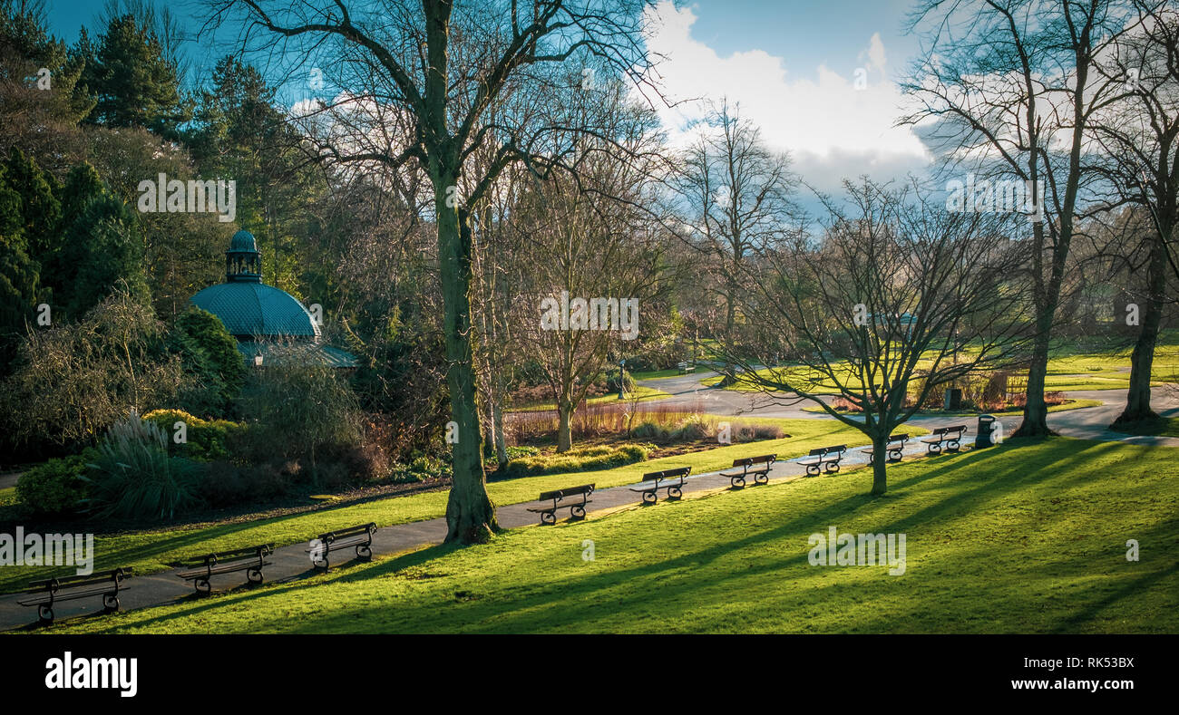 Bänke im Valley Gardens, Harrogate, North Yorkshire Stockfoto