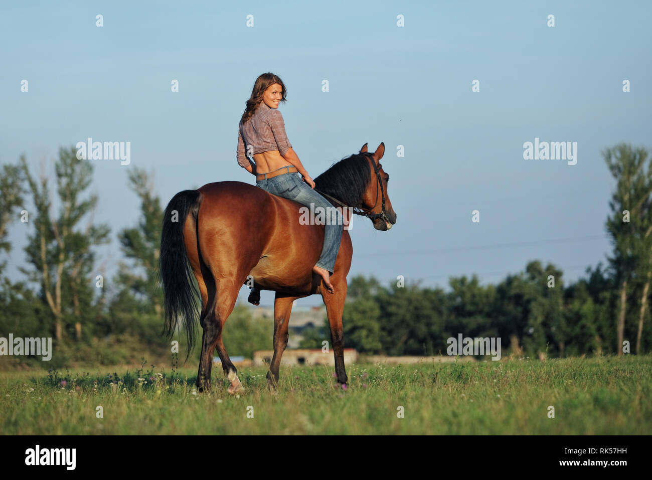 Schöne cowgirl Bareback ihr Pferd im Wald Lichtung bei Sonnenuntergang Stockfoto