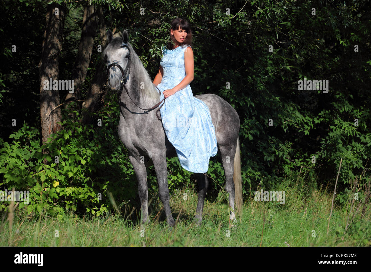 Schöne brünette Frau mit langen Haaren und blauen Kleid in den Wäldern mit dapple graues Pferd Stockfoto