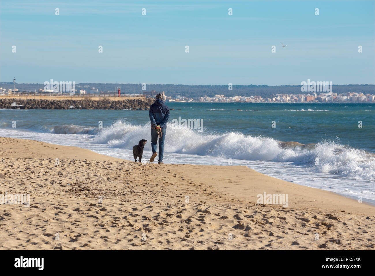 Palma de Mallorca - der Strand der Stadt und der Mann an der Rest mit dem Hund. Stockfoto