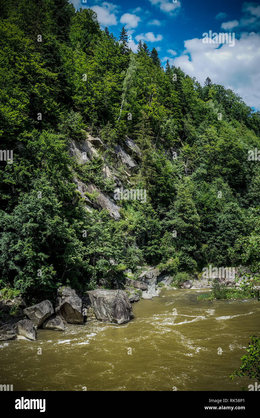 Starke Strömung und kochendem Wasser in Mountain River mit Spritzern. Schnelle Stream in den Karpaten, in der Ukraine. Steine in einem Berg River. Natürliche backgro Stockfoto