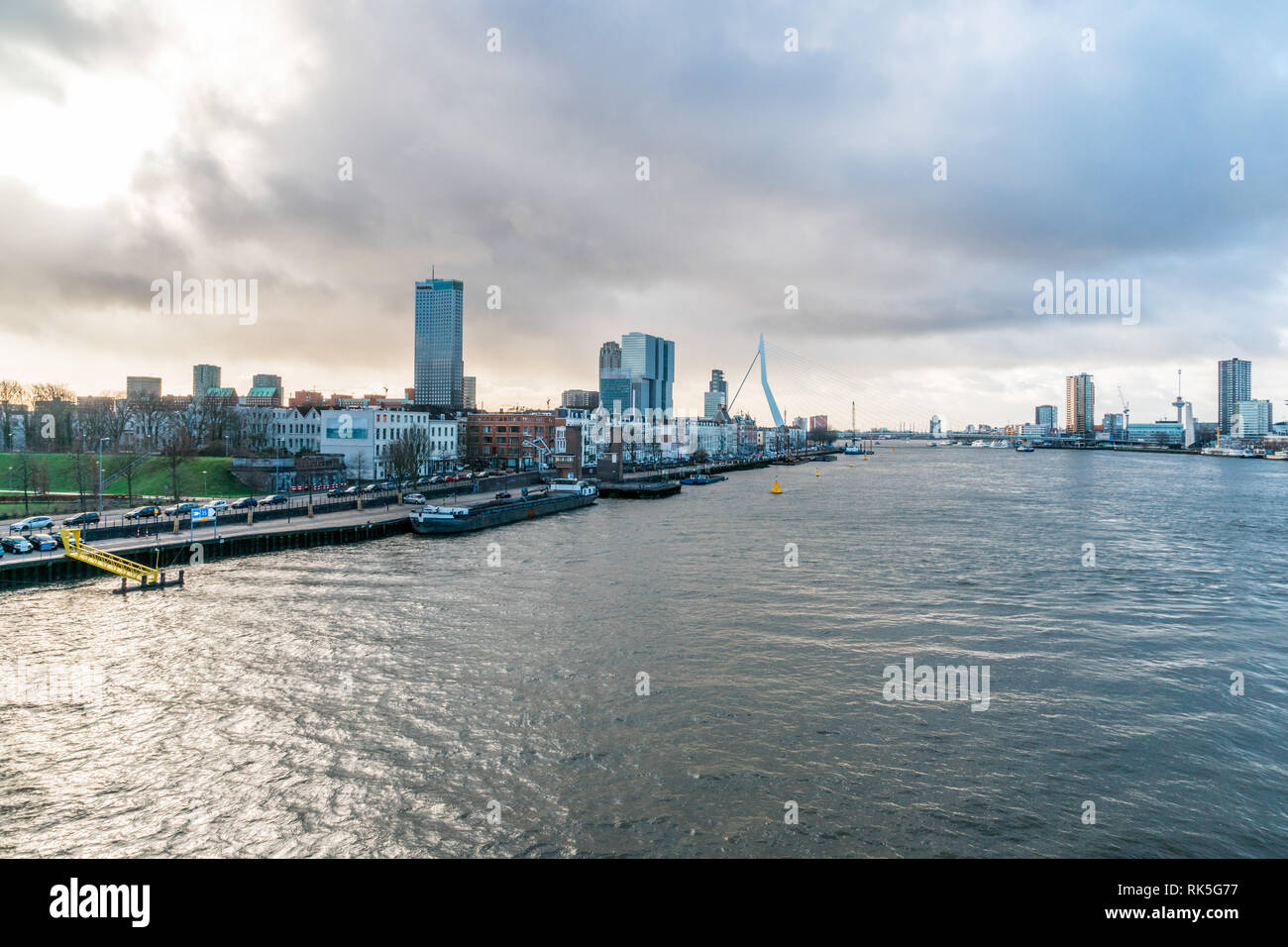 Koe Maas Rhein Maas Rhein Stockfotos und -bilder Kaufen - Alamy