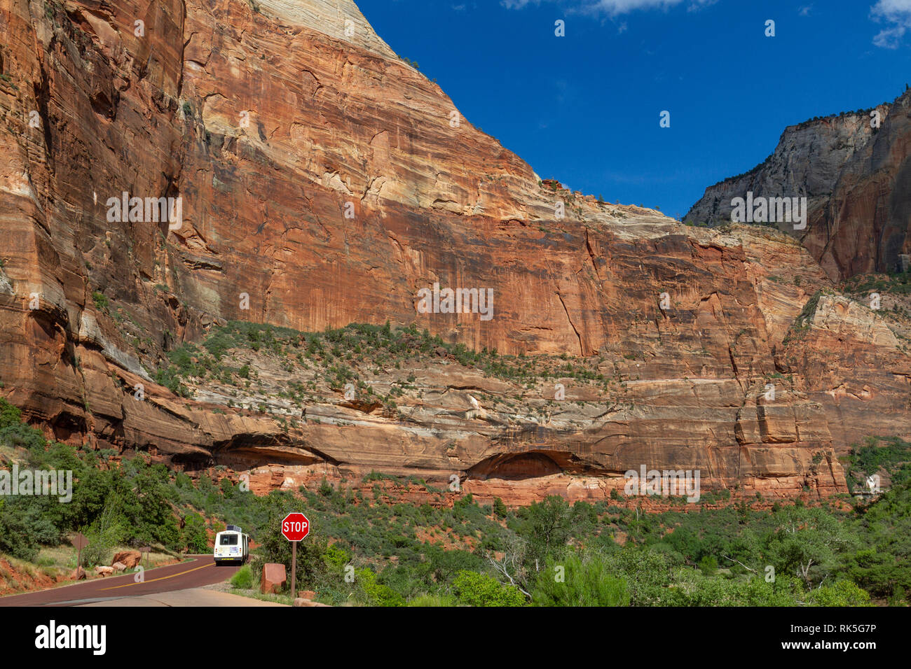 Park Shuttle Bus am grossen Schlaufe Viewpoint, Zion National Park, Springdale, Utah, United States. Stockfoto