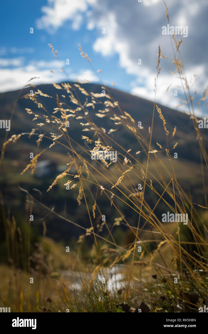 Wanderung auf den Bergen und auf Meran 2000 Stockfoto