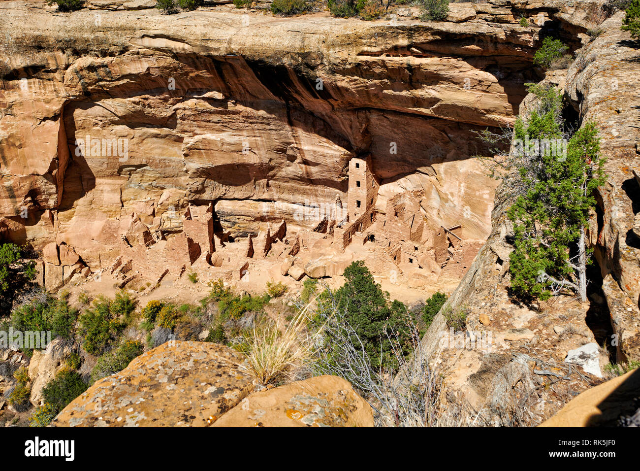 Square Tower House, Cliff dwellings in Mesa-Verde-Nationalpark, UNESCO-Weltkulturerbe, Colorado, USA, Nordamerika Stockfoto