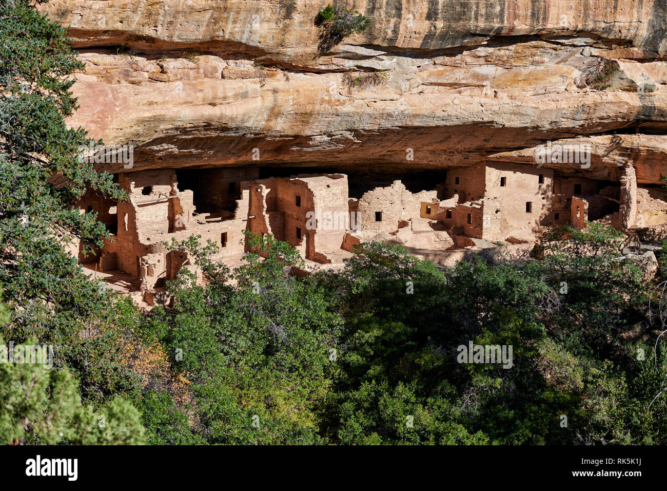 Spruce Tree House, Cliff dwellings in Mesa-Verde-Nationalpark, UNESCO-Weltkulturerbe, Colorado, USA, Nordamerika Stockfoto