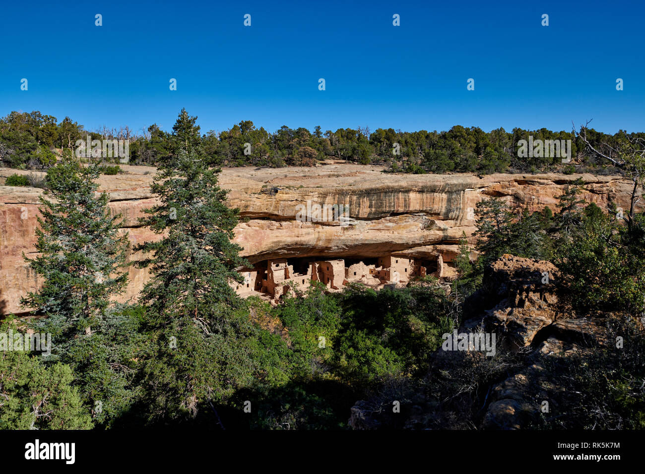 Spruce Tree House, Cliff dwellings in Mesa-Verde-Nationalpark, UNESCO-Weltkulturerbe, Colorado, USA, Nordamerika Stockfoto