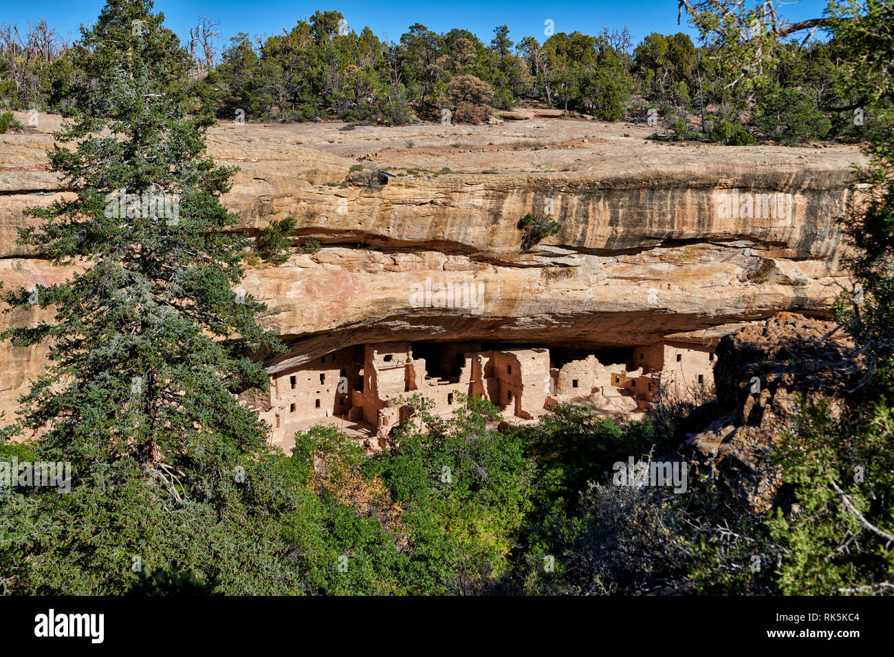 Spruce Tree House, Cliff dwellings in Mesa-Verde-Nationalpark, UNESCO-Weltkulturerbe, Colorado, USA, Nordamerika Stockfoto