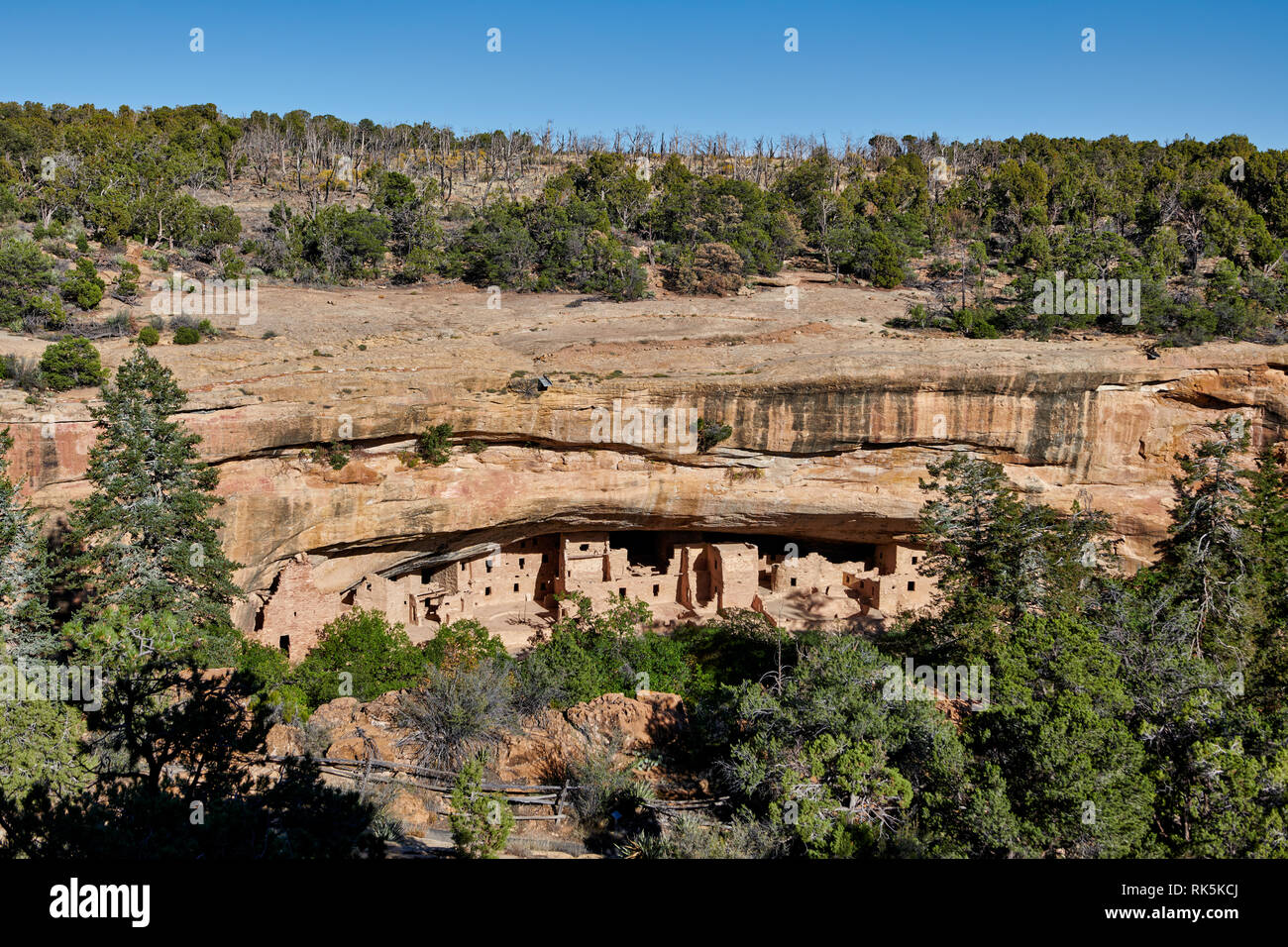 Spruce Tree House, Cliff dwellings in Mesa-Verde-Nationalpark, UNESCO-Weltkulturerbe, Colorado, USA, Nordamerika Stockfoto