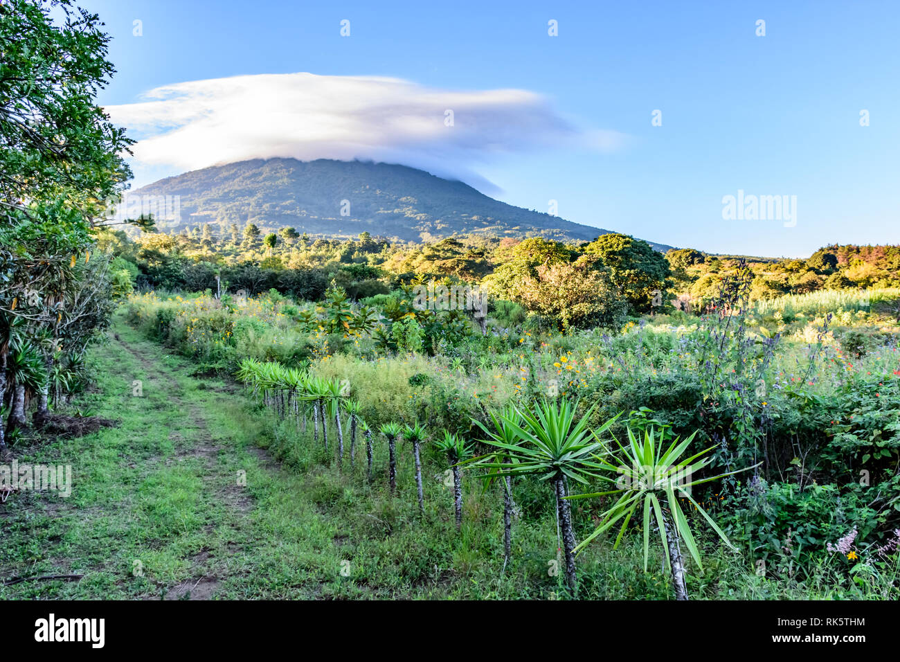 Grasbewachsene farm Trail führt bewachsenen Hang des Agua Vulkan in der Landschaft in der Nähe von Antigua in Guatemala Hochland, Mittelamerika Stockfoto