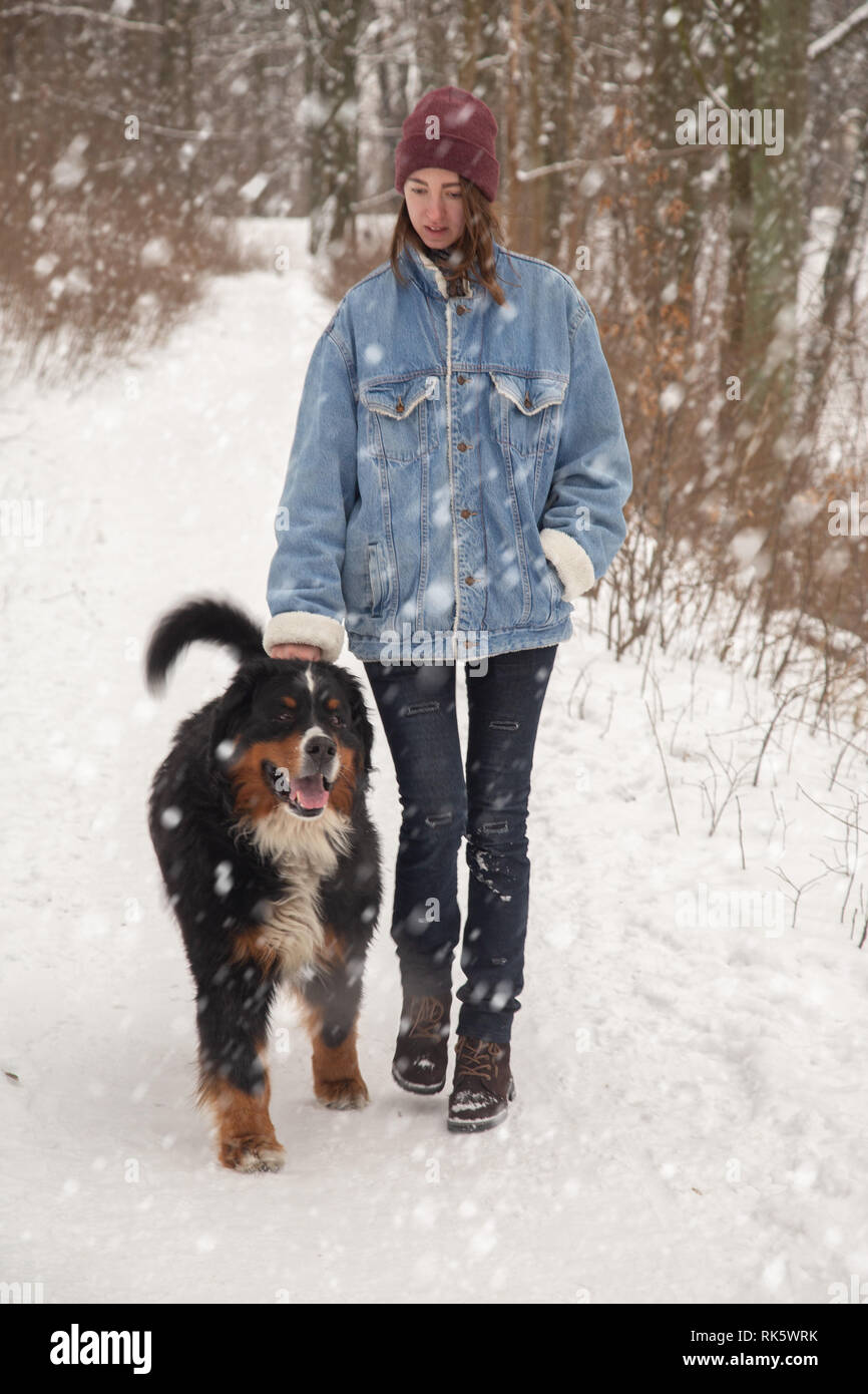 Junge Frau im Winter Wald mit Berner Sennenhund gehen unter Schnee Stockfoto