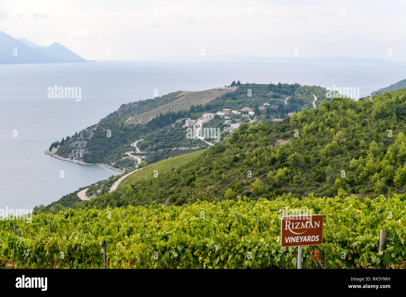 Kroatische Weinberge, Rizman. Entlang der adriatischen Küste. Stockfoto