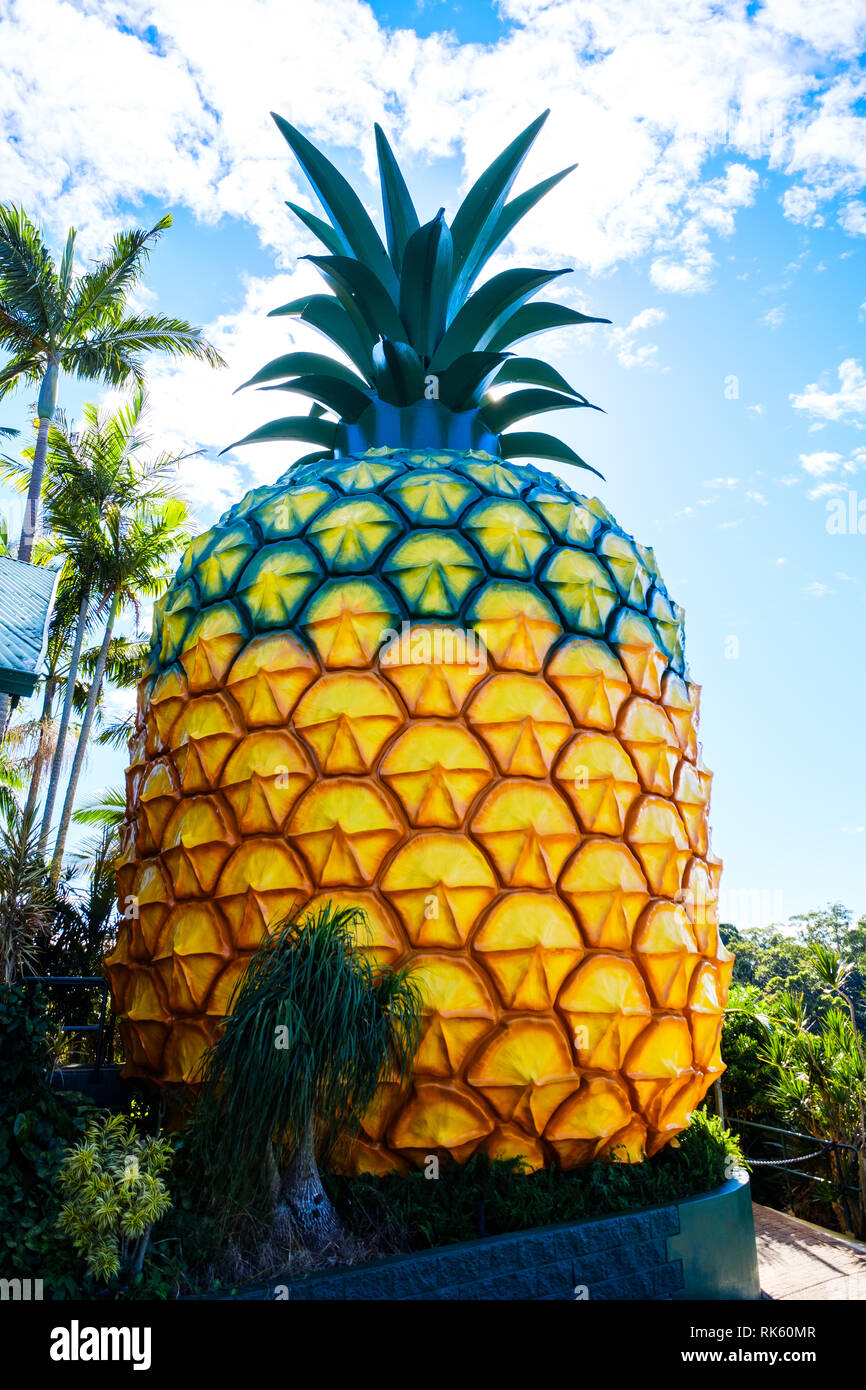 Die grosse Ananas, Sunshine Coast, Australien Stockfoto