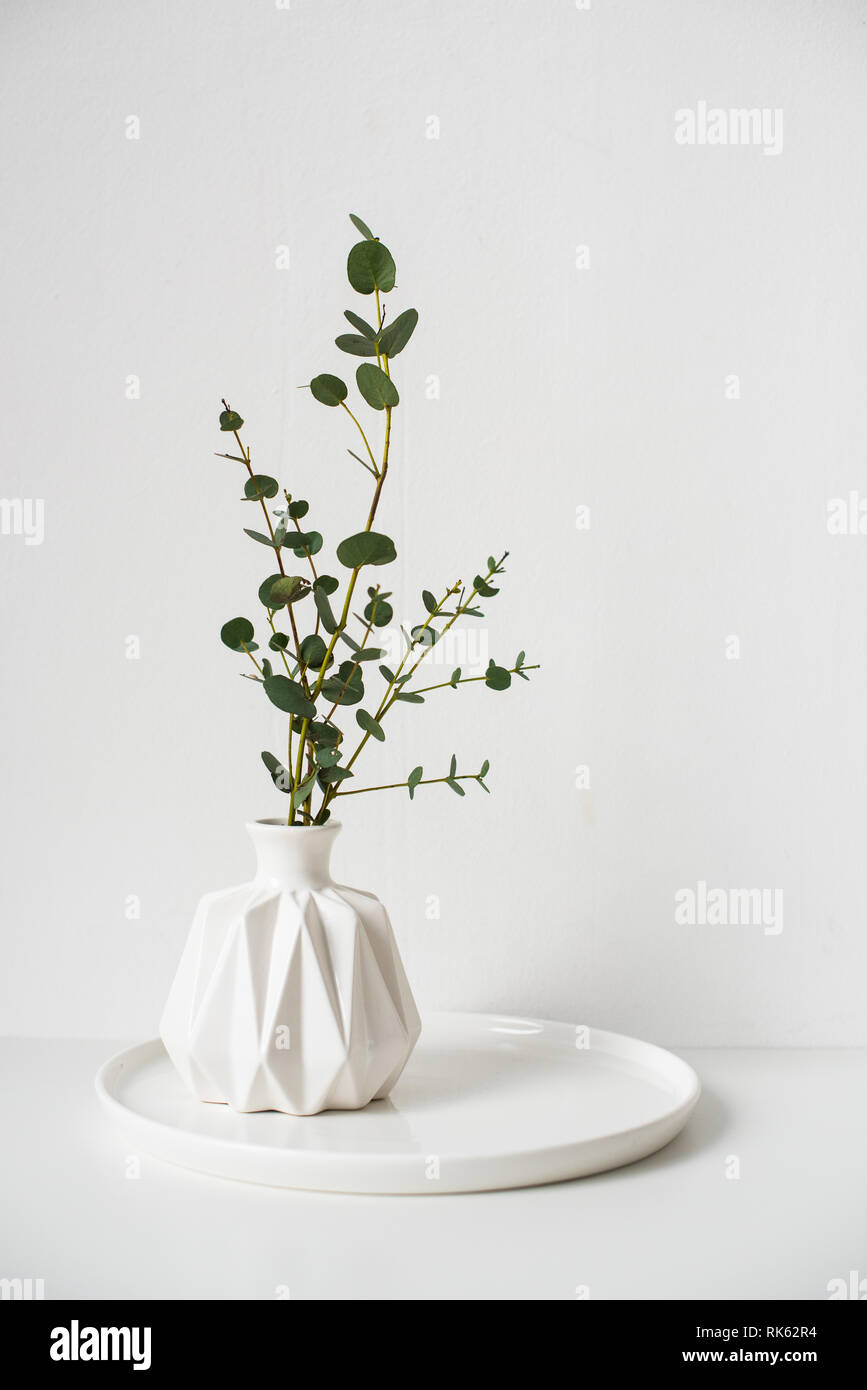 Eukalyptus Niederlassungen in weißer Keramik Vase auf leere Wand ...