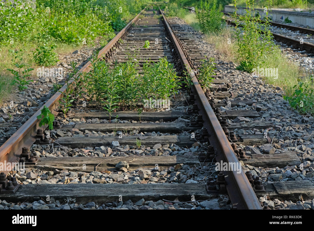 Gleise, Schienen, Weichen und Unkraut im Industriegebiet Ruhrgebiet Ruhrpott Stockfoto