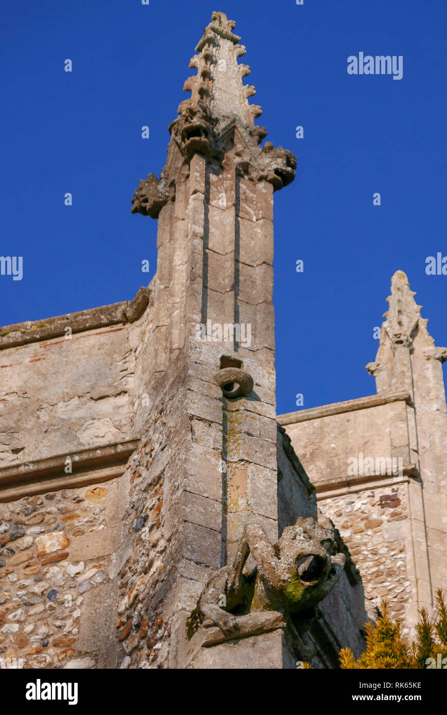 20-01-19. Thaxted, Essex, England, UK. Detail einer gargoyle auf der Außenseite der Pfarrkirche St. Johannes der Täufer, Bauarbeiten im Jahr 1510 abgeschlossen Stockfoto