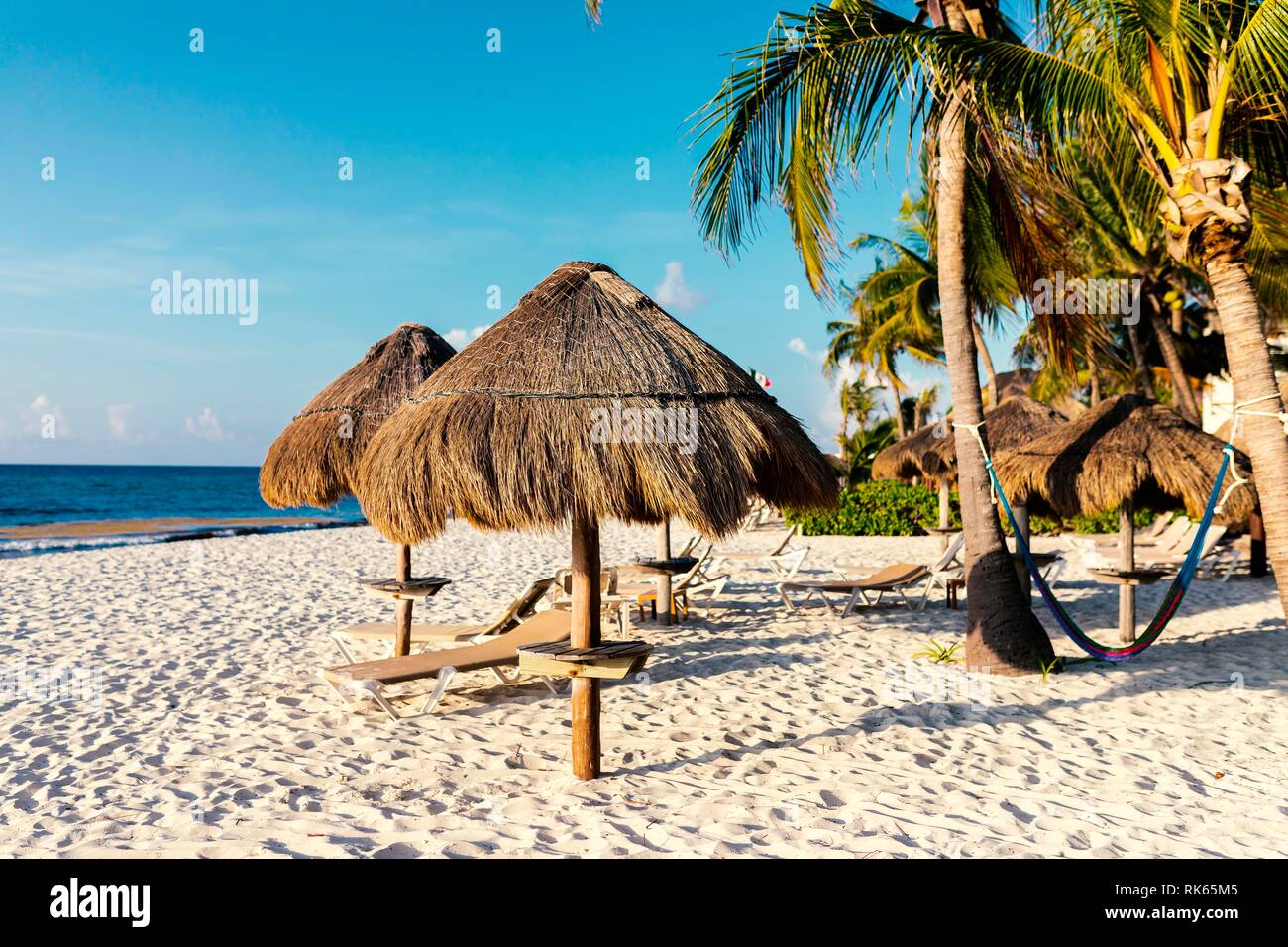 Sonnenliegen oder Chaiselongue longe Sonnenliegen unter strohgedeckten Sonnenschirmen legten sie einen luxuriösen tropischen Strand mit Palmen entlang der karibischen Küste der Sta Stockfoto