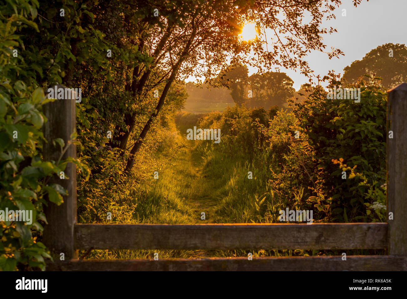 Sonnenuntergang in der englischen Landschaft. Stockfoto