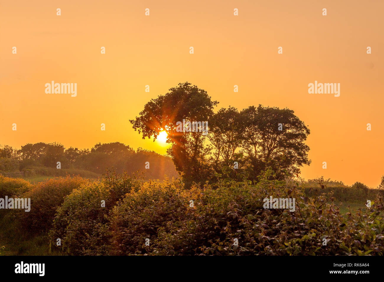 Sonnenuntergang in der englischen Landschaft. Stockfoto