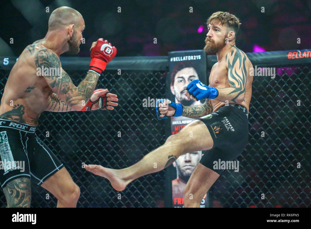 Newcastle, UK, 9. Februar 2019 - Chris Bungard kämpfe Terry Brazier Credit: Dan Cooke/Alamy leben Nachrichten Stockfoto