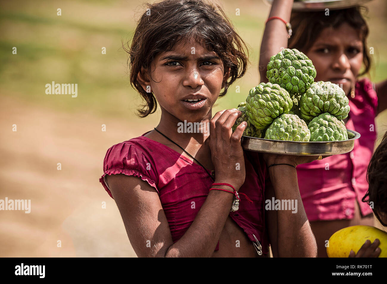 Junge Rajasthani Mädchen verkaufen Obst Stockfoto