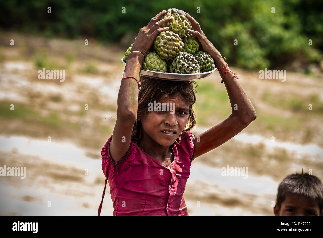 Mädchen verkaufen Obst am Straßenrand in Rajasthan, Indien Stockfoto