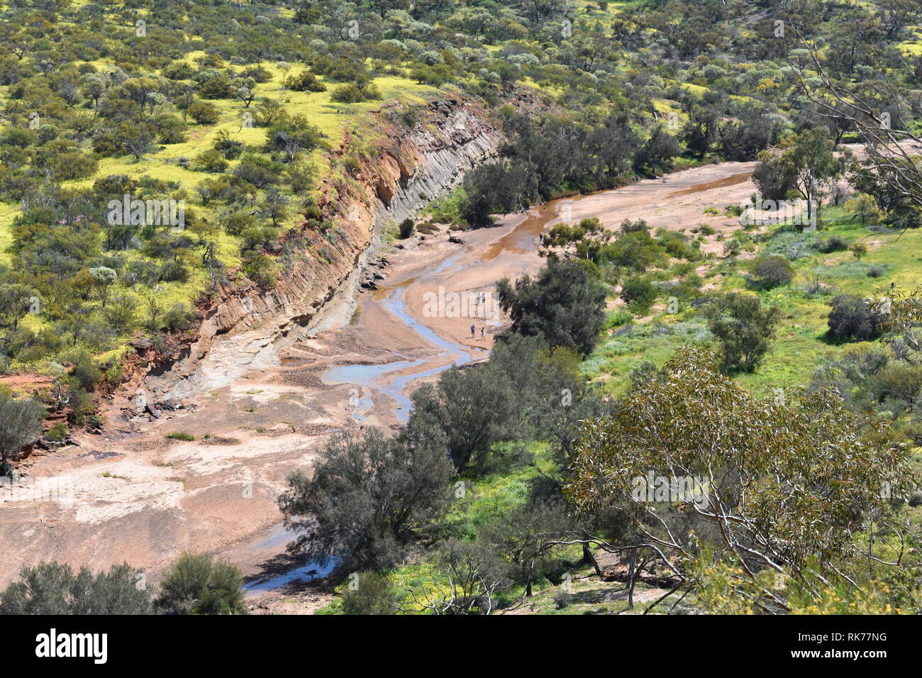 Touristen wandern auf dem trockenen Flussbett an Coalseams Conservation Park Stockfoto