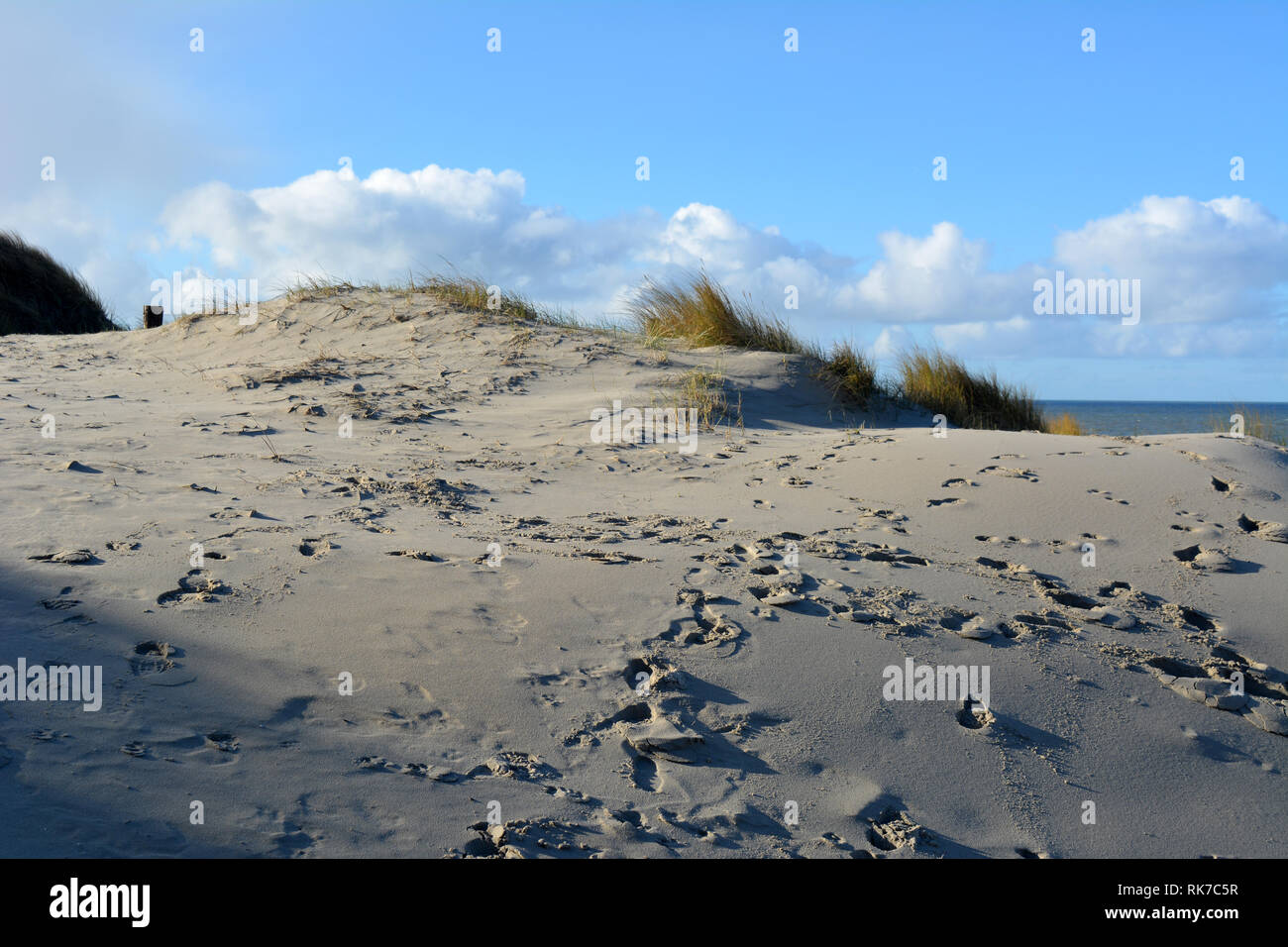 Ansicht zwischen zwei Dünen, mit Strand Gras gewachsen, auf einer Nordsee strand von Texel. Insel in Holland. Stockfoto
