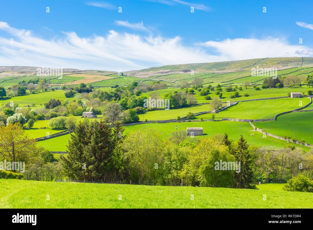 Yorkshire Dales im Sommer mit grünen Wiesen, Trockenmauern walling, blauer Himmel und flauschigen weissen Wolken. North Yorkshire. England. UK. Landschaft Stockfoto