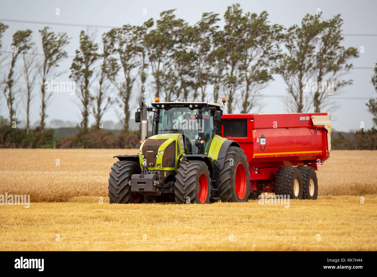 Ein Traktor mit einem Bin kehrt in das Feld mit Gerste aus dem Mähdrescher in Canterbury, Neuseeland zu befüllen Stockfoto