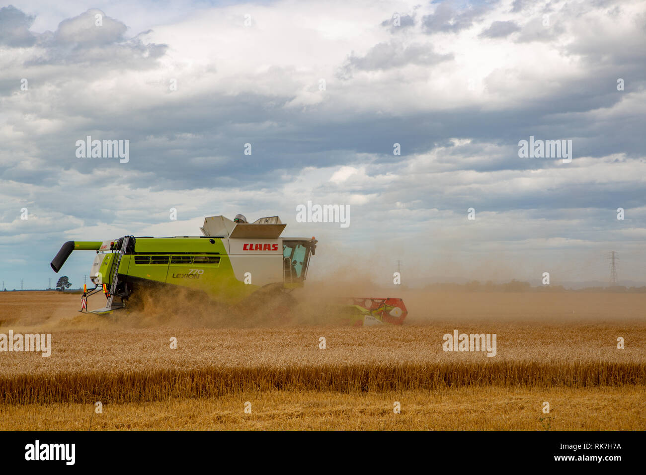 Ein Mähdrescher erstellt eine Staubwolke, während in einem Gerstenfeld im Sommer arbeiten unter einem bewölkten Himmel in Canterbury, Neuseeland Stockfoto