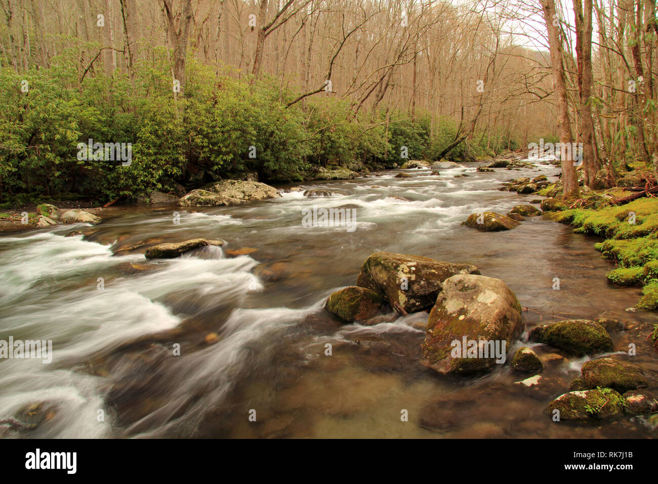 Teilweise befindet sich in Great Smokey Mountains National Park, der kleine Fluss bietet einige der schönsten Landschaft im Südosten der Vereinigten Staaten Stockfoto