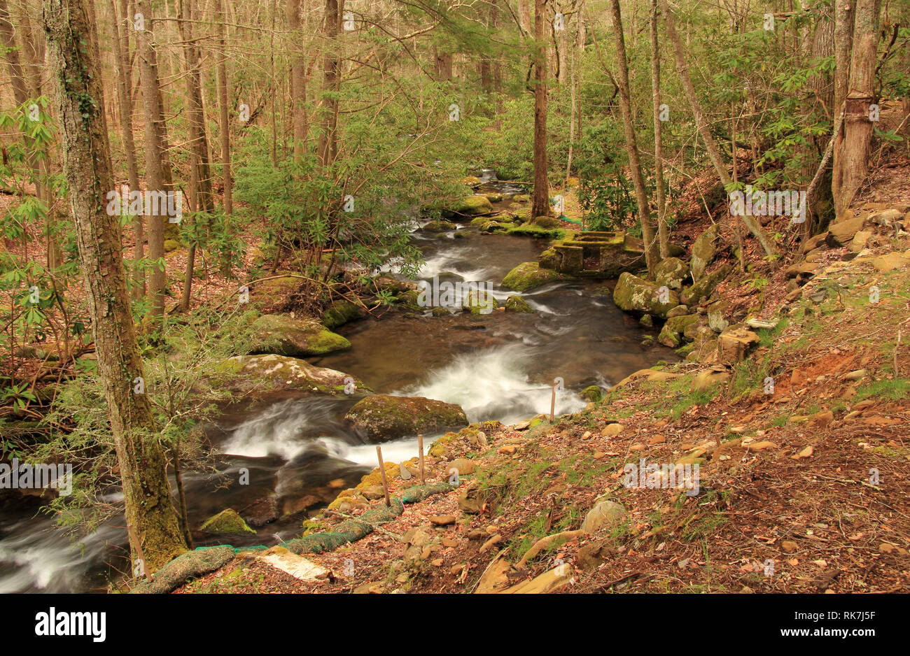 Teilweise befindet sich in Great Smokey Mountains National Park, der kleine Fluss bietet einige der schönsten Landschaft im Südosten der Vereinigten Staaten Stockfoto