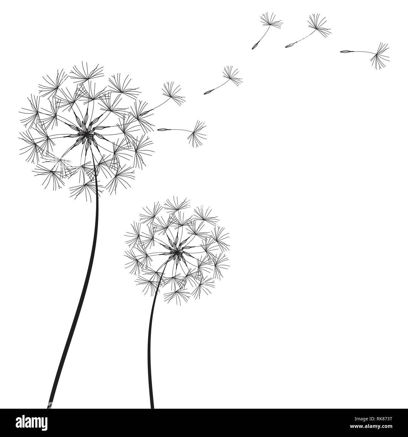 Abstrakte Löwenzahn Löwenzahn mit fliegenden Samen - Vektor Stock Vektor