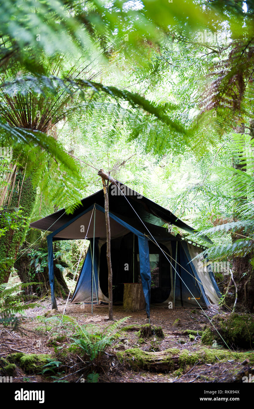 Zelten auf dem Tarkine Getaway, einem dreitägigen Camp Spaziergang durch die Tarkine, wie die zweitgrößte Fläche der gemäßigten Regenwald der Welt bekannt ist. Stockfoto