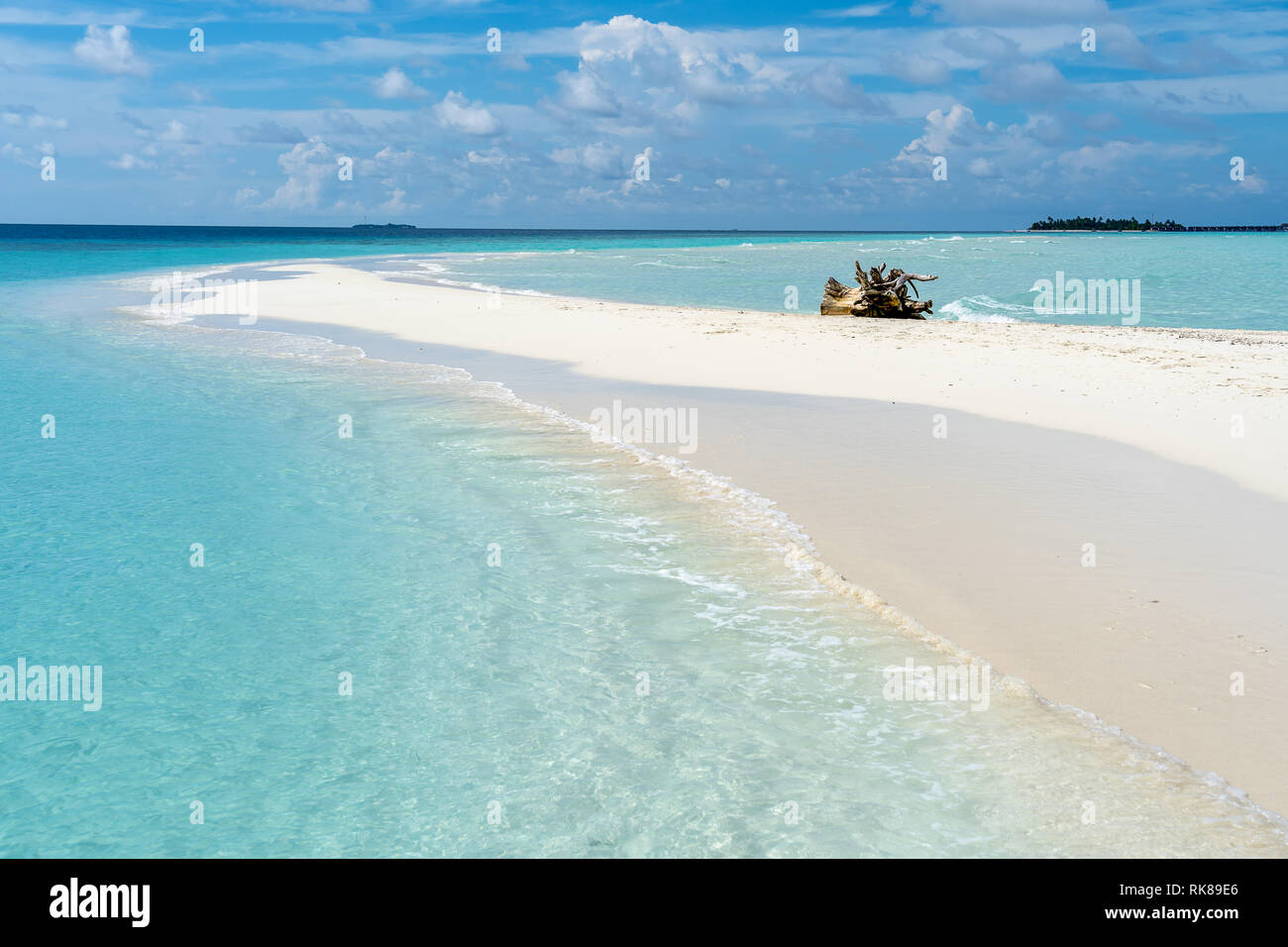 Ein Baum Lkw auf der Sandbank mit den Inseln im Hintergrund in Malediven Stockfoto