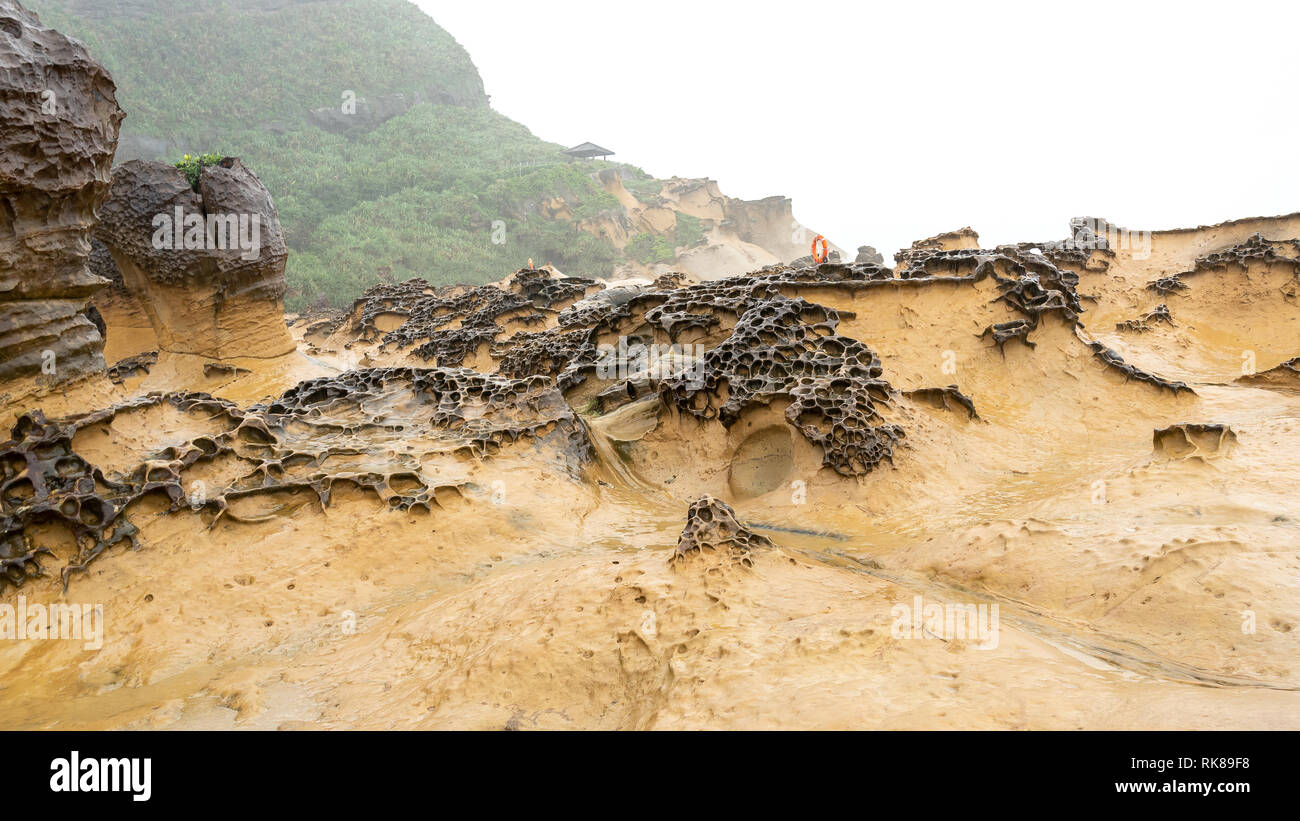 Waben Verwitterung Rock bei yehilu Geopark in Taiwan. Stockfoto